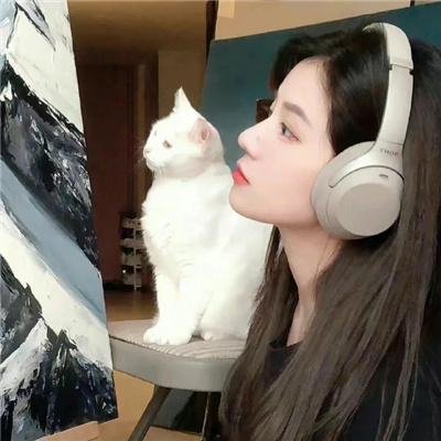 六叠间的钢琴家